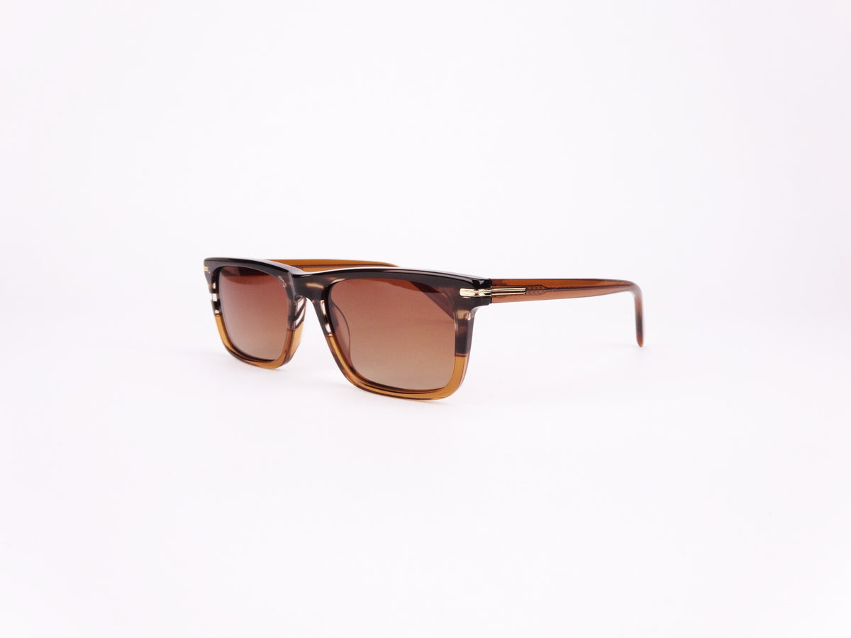 James Watson Modern Wayfarer - Eucalyptus Brown - Polarised