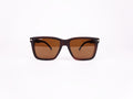 James Watson Large Wayfarer - Matte Brown - Polarised